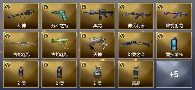 穿越火线（CF）16V武器 4皮肤 可排位 精英