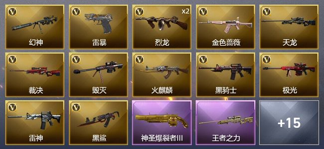 穿越火线（CF）2王者武器 27V武器 2V角色 9皮肤 可排位 枪王
