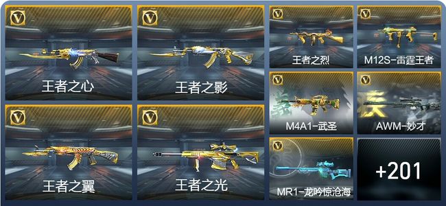 穿越火线：枪战王者V8 12王者武器 210英雄武器 5英雄角色 494万化 枪皇SSS