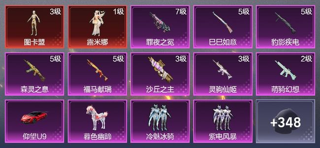 和平精英2载具 8升级枪 10粉装 8尾迹 205枪皮 152套装 71850热力 5印记 皇冠