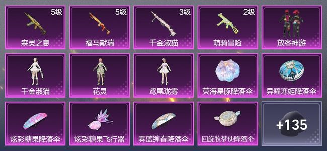 和平精英4升级枪 4粉装 4尾迹 80枪皮 66套装 2,5740热力 4印记 王牌