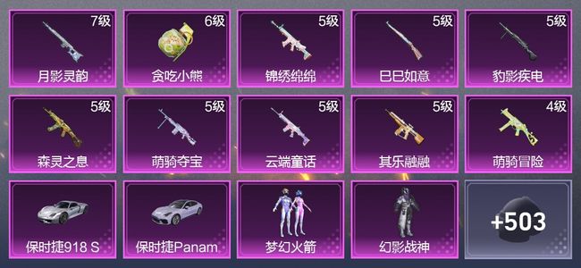 和平精英2载具 10升级枪 5粉装 3尾迹 304枪皮 212套装 90295热力 20印记