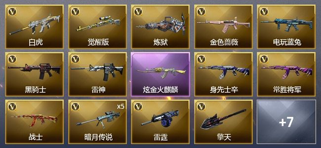 穿越火线（CF）1炫金武器 18V武器 5皮肤 可排位 新锐