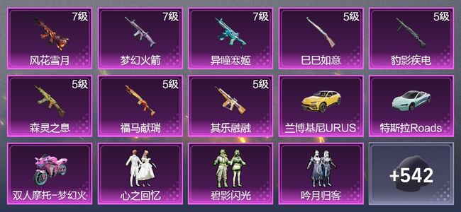和平精英3载具 8升级枪 9粉装 2尾迹 335枪皮 231套装 101937热力 17印记 皇冠