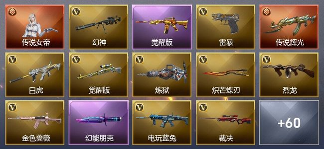 穿越火线（CF）1传说角色 1传说武器 8王者武器 2炫金武器 68V武器 2V角色 24皮肤 可排位 枪王