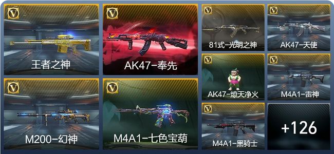 穿越火线：枪战王者V6 6王者武器 135英雄武器 1英雄角色 206万化 枪王SSS