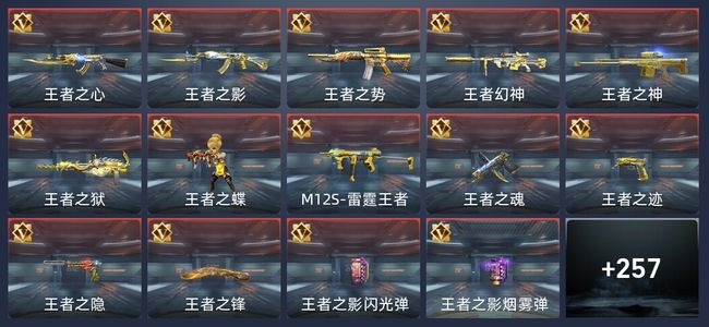 穿越火线：枪战王者V8 30王者 262英雄武器 9英雄角色 511万化 专家S