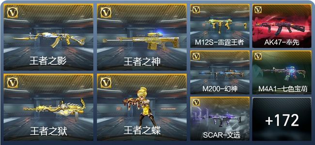 穿越火线：枪战王者V6 12王者武器 204英雄武器 6英雄角色 339万化 枪皇SSS