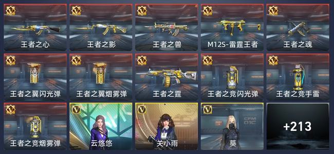 穿越火线：枪战王者V5 11王者 221英雄武器 6英雄角色 305万化 专家S