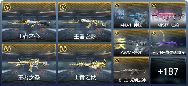 穿越火线：枪战王者V6 12王者武器 196英雄武器 5英雄角色 302万化 枪圣