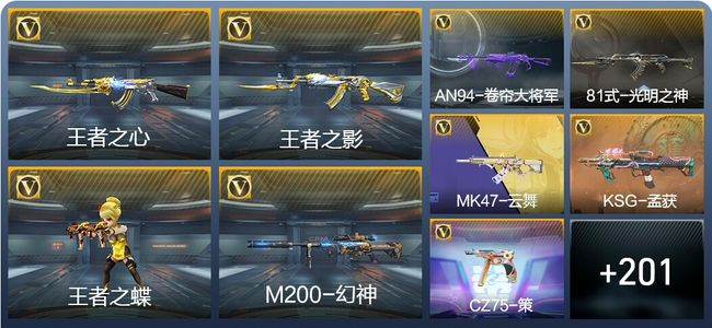 穿越火线：枪战王者5王者武器 210英雄武器 5英雄角色 301万化 大师S