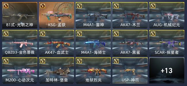 穿越火线：枪战王者V1 英雄武器 万化 枪王SS