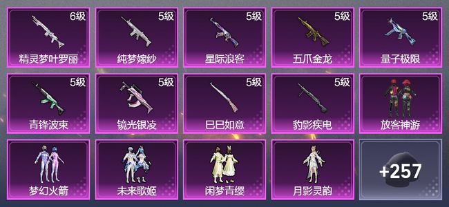 和平精英【苹果版】9升级枪 5粉装 1飞行器 139枪皮 119套装 51777热力 9印记