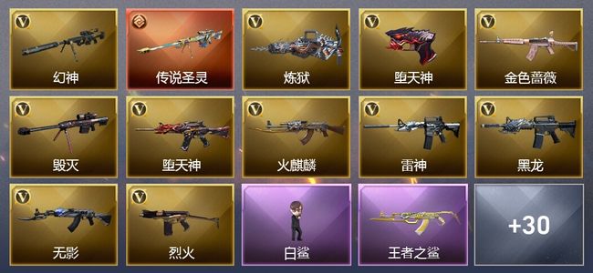穿越火线（CF）1传说武器 1王者武器 56V武器 11皮肤 可排位 传奇