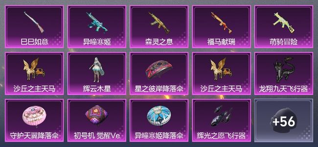 和平精英5升级枪 1粉装 3尾迹 48套装 22512热力 6印记