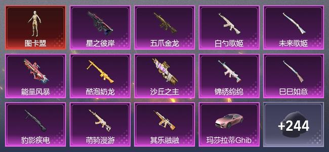 和平精英1载具 12升级枪 7粉装 5尾迹 224枪皮 132套装 6,8432热力 10印记