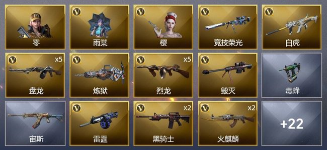 穿越火线（CF）46V武器 2V角色 11皮肤 可排位 新锐