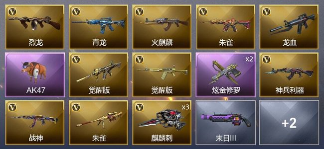 穿越火线（CF）1炫金武器 13V武器 1V角色 1皮肤 可排位 新锐