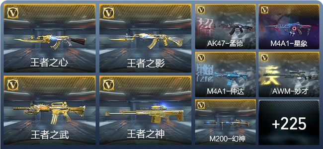穿越火线：枪战王者V8 25王者武器 255英雄武器 5英雄角色 491万化 传奇