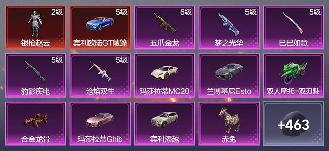 和平精英9载具 5升级枪 13粉装 3飞行器 238枪皮 210套装 105825热力 6印记 皇冠