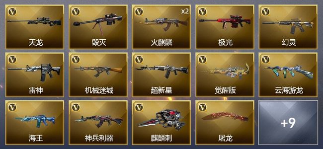 穿越火线（CF）19V武器 7皮肤 可排位 专家