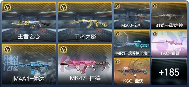 穿越火线：枪战王者V1 8王者武器 194英雄武器 4英雄角色 262万化 枪圣SSS