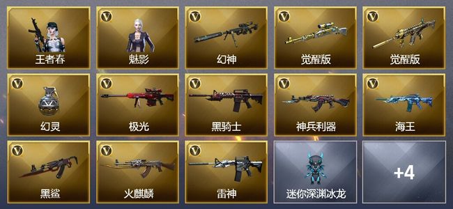 穿越火线（CF）11V武器 1V角色 5皮肤 可排位 专家