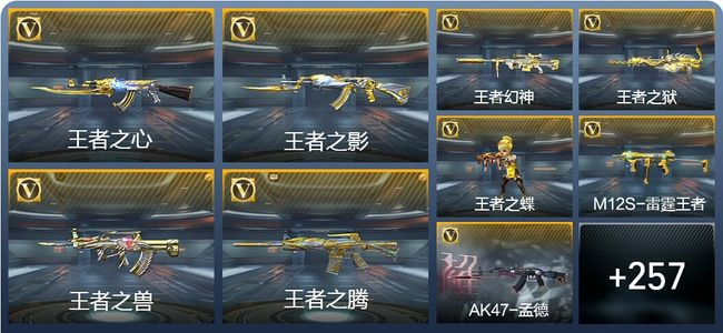 穿越火线：枪战王者31王者武器 270英雄武器 7英雄角色 536万化 专家S