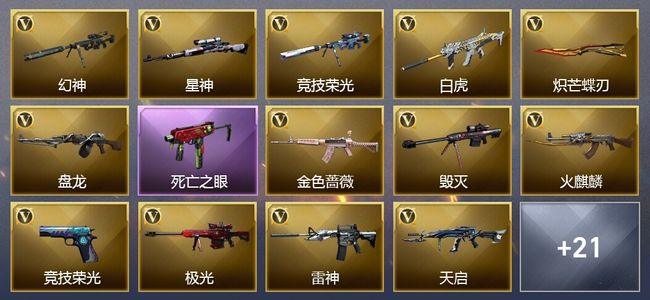 穿越火线（CF）1炫金武器 30V武器 2V角色 4皮肤 可排位 传奇