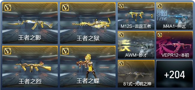 穿越火线：枪战王者V6 8王者武器 213英雄武器 9英雄角色 365万化 大师S