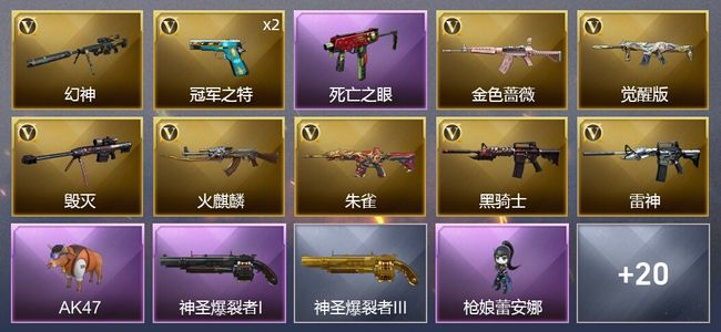 穿越火线（CF）19V武器 14皮肤 可排位 传奇