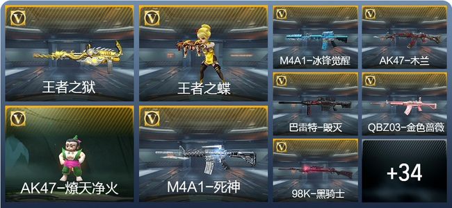 穿越火线：枪战王者V1 1王者武器 44英雄武器 1英雄角色 59万化 专家S