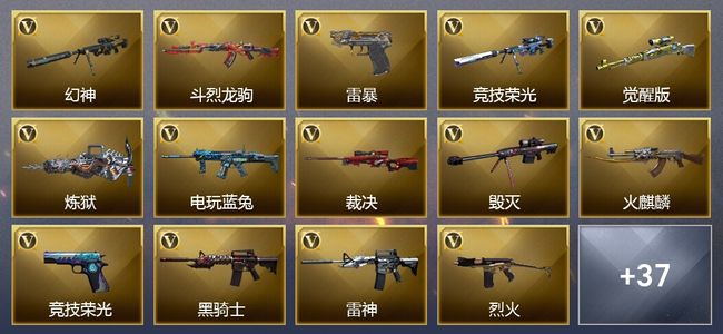 穿越火线（CF）48V武器 16皮肤 可排位 枪王