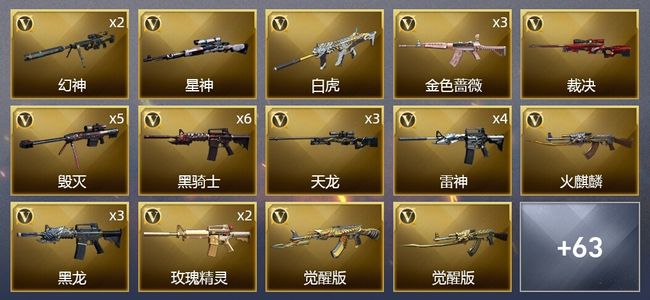 穿越火线（CF）6王者武器 3炫金武器 107V武器 3V角色 26皮肤 可排位 枪王