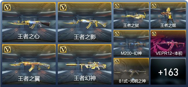 穿越火线：枪战王者9王者武器 172英雄武器 5英雄角色 454万化 枪皇