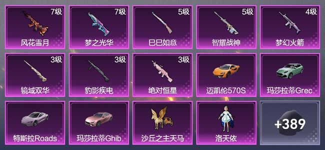 和平精英4载具 8升级枪 10粉装 3飞行器 210枪皮 166套装 80631热力 13印记 王牌