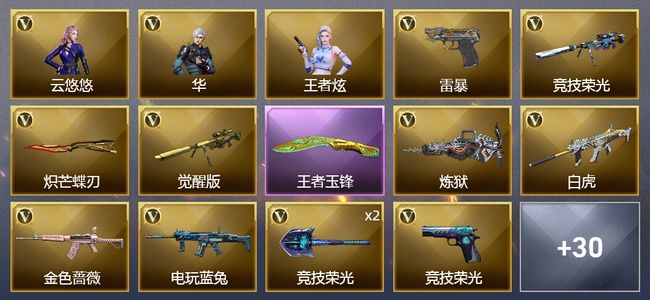 穿越火线（CF）1王者武器 48V武器 2V角色 21皮肤 可排位 新锐