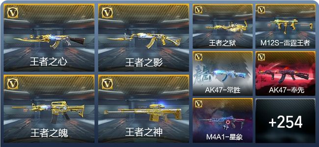 穿越火线：枪战王者V8 23王者武器 263英雄武器 10英雄角色 440万化 专家S