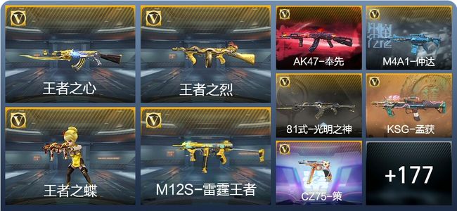 穿越火线：枪战王者V5 5王者武器 208英雄武器 6英雄角色 393万化 枪皇S