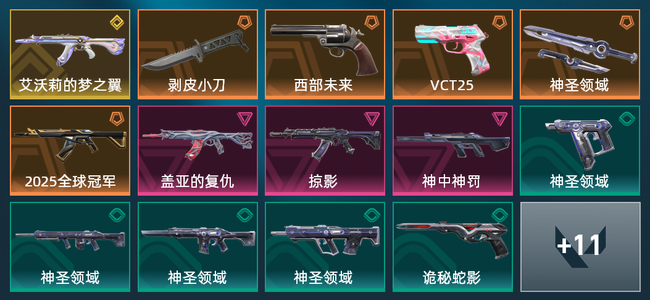 无畏契约5橙皮 1金皮 3紫皮 25皮肤 13310皮肤总价值 465已用源晶 青铜