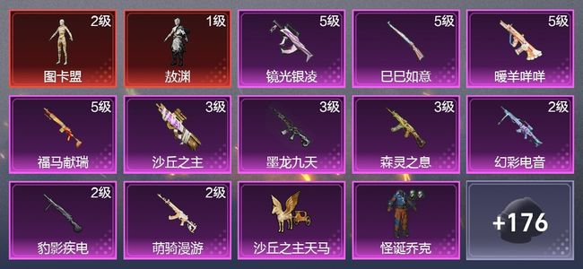 和平精英10升级枪 1粉装 4尾迹 110枪皮 84套装 34536热力 3印记 王牌