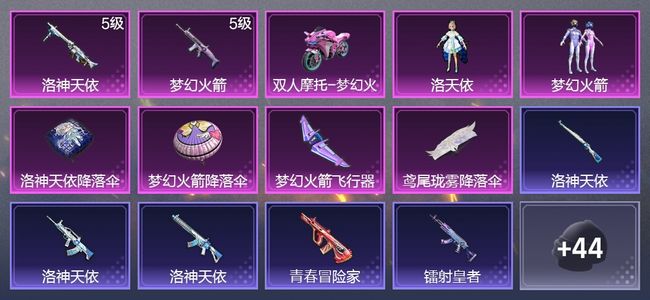 和平精英1载具 2升级枪 2粉装 1尾迹 31枪皮 22套装 1印记