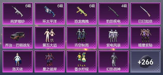 和平精英1载具 5升级枪 9粉装 3尾迹 151枪皮 105套装 8印记