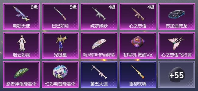 和平精英1载具 4升级枪 2粉装 1尾迹 36枪皮 27套装 2印记