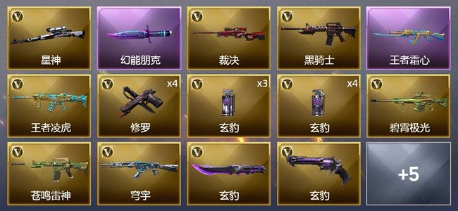 穿越火线（CF）1王者武器 21V武器 2V角色 5皮肤 可排位 传奇