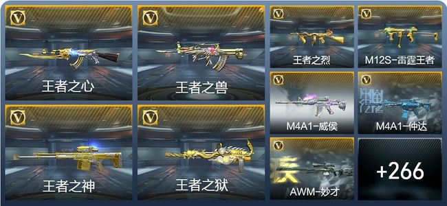 穿越火线：枪战王者V8 11王者武器 308英雄武器 8英雄角色 633万化 枪圣SSS