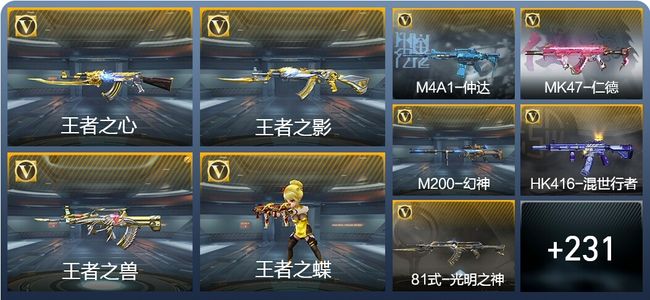 穿越火线：枪战王者V5 12王者武器 240英雄武器 8英雄角色 351万化 新锐