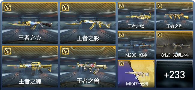 穿越火线：枪战王者15王者武器 242英雄武器 12英雄角色 478万化 专家S