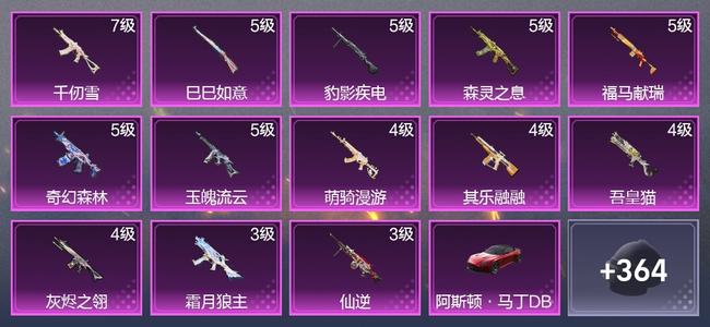 和平精英3载具 13升级枪 5粉装 5尾迹 230枪皮 153套装 7,3631热力 8印记 皇冠