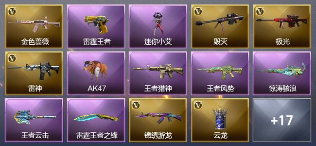 穿越火线（CF）7王者武器 21V武器 3V角色 1皮肤 可排位 专家